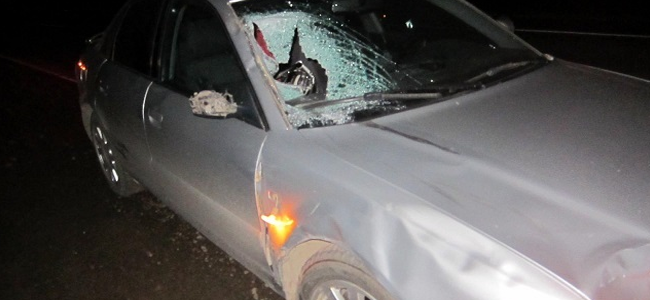 Возле села Юрково водитель «Audi» сбил насмерть пешехода